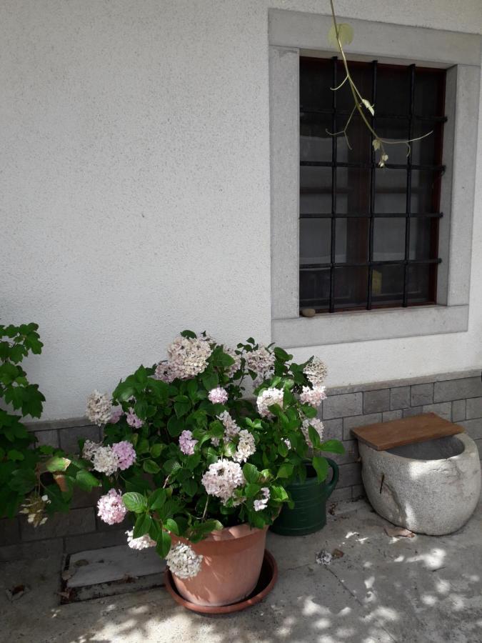 Vidin Raj Apartment Vremski Britof Exterior photo
